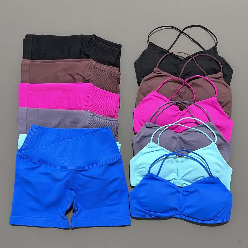 Yoga Fitness Wear - 2 peça visão ginásio conjunto feminino
